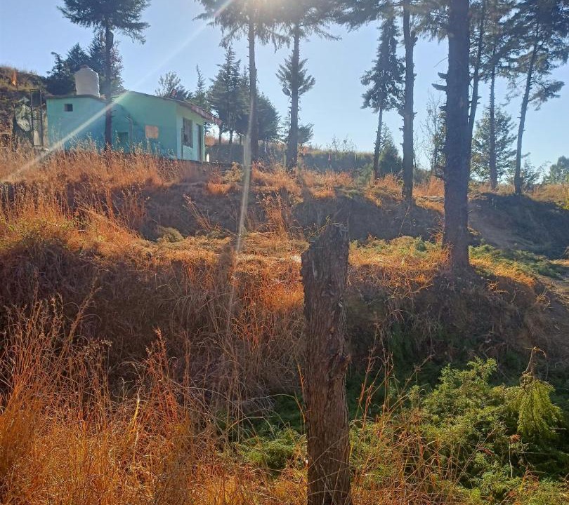Photo of Others in Almora