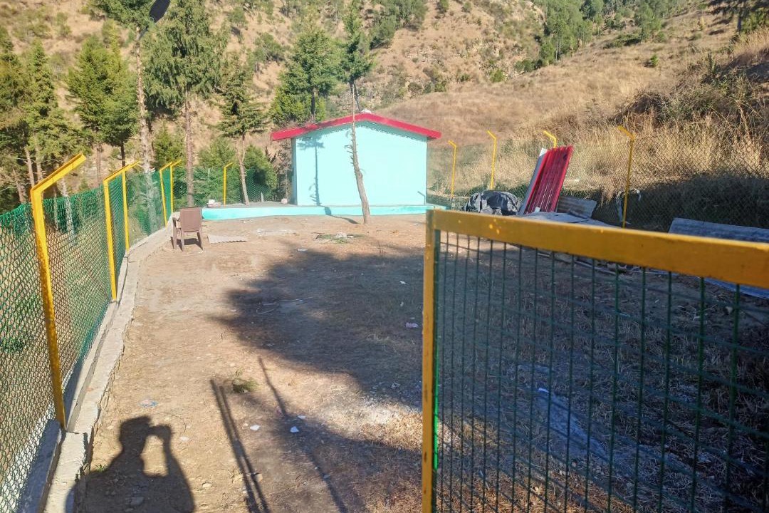 Photo of Others in Almora