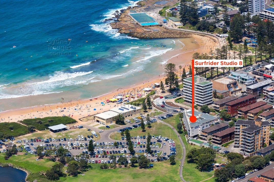 Photo of Others in Dee Why