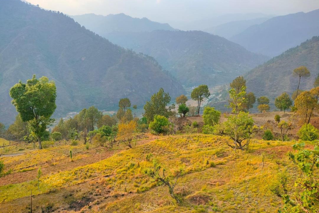 Photo of Others in Tehri