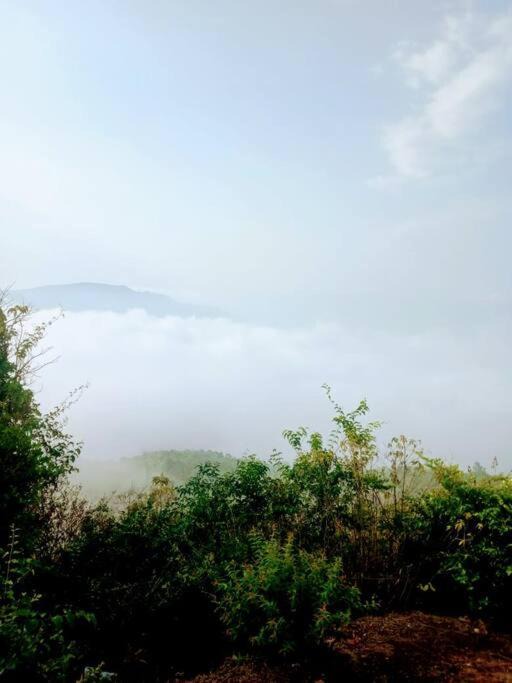 Photo of Others in Mahabaleshwar