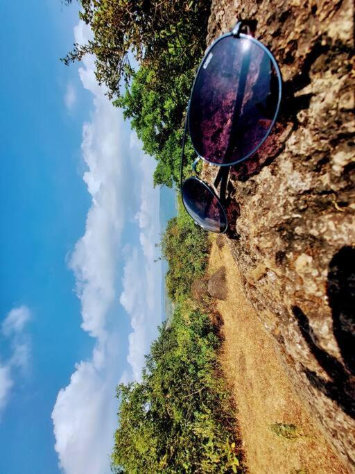 Photo of Others in Mahabaleshwar