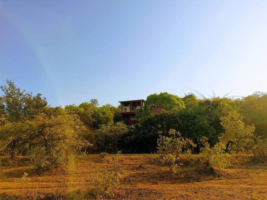Photo of Others in Mahabaleshwar