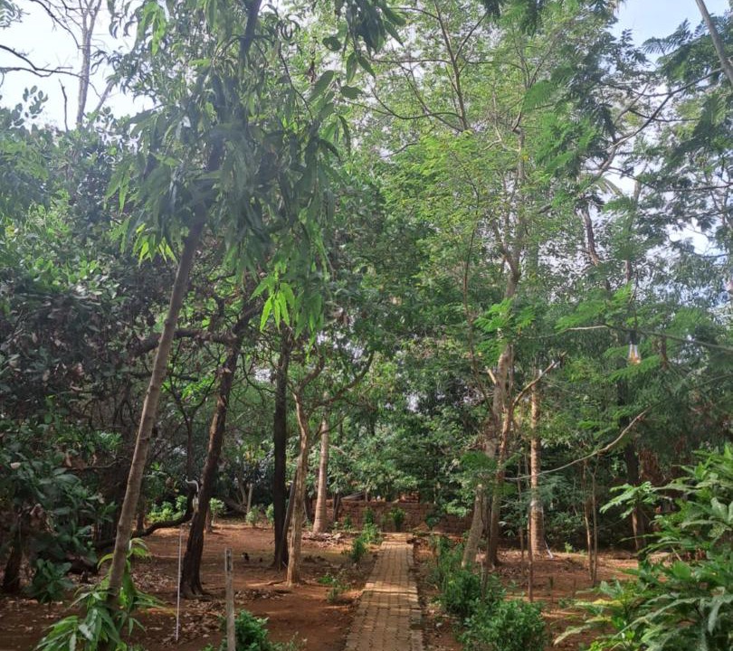 Photo of Others in Gokarna