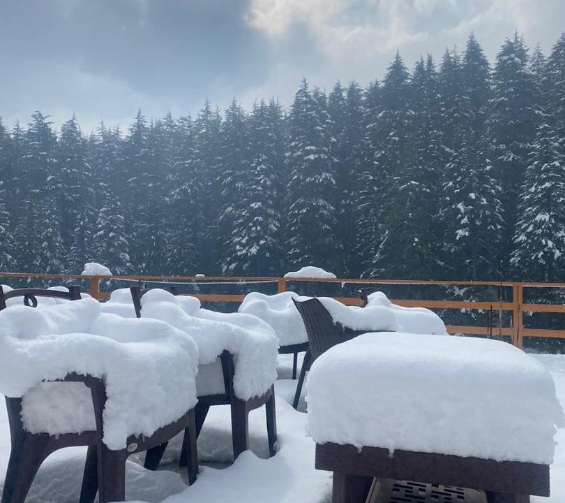Photo of Others in Old Manali