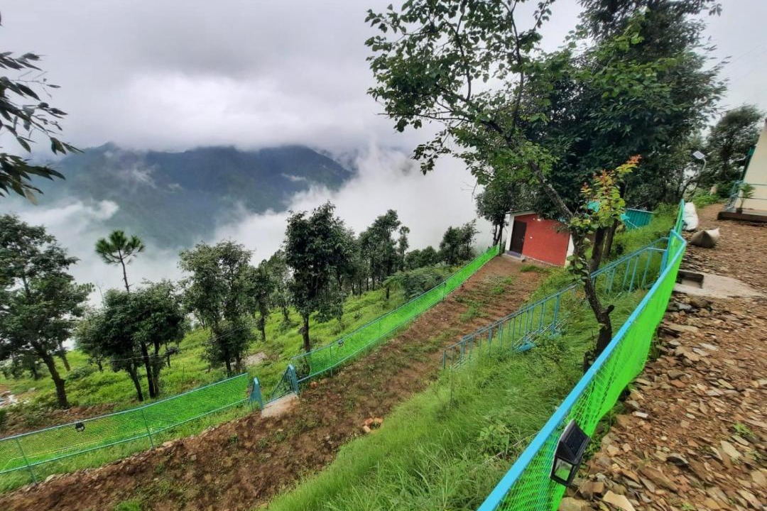 Photo of Others in Tehri
