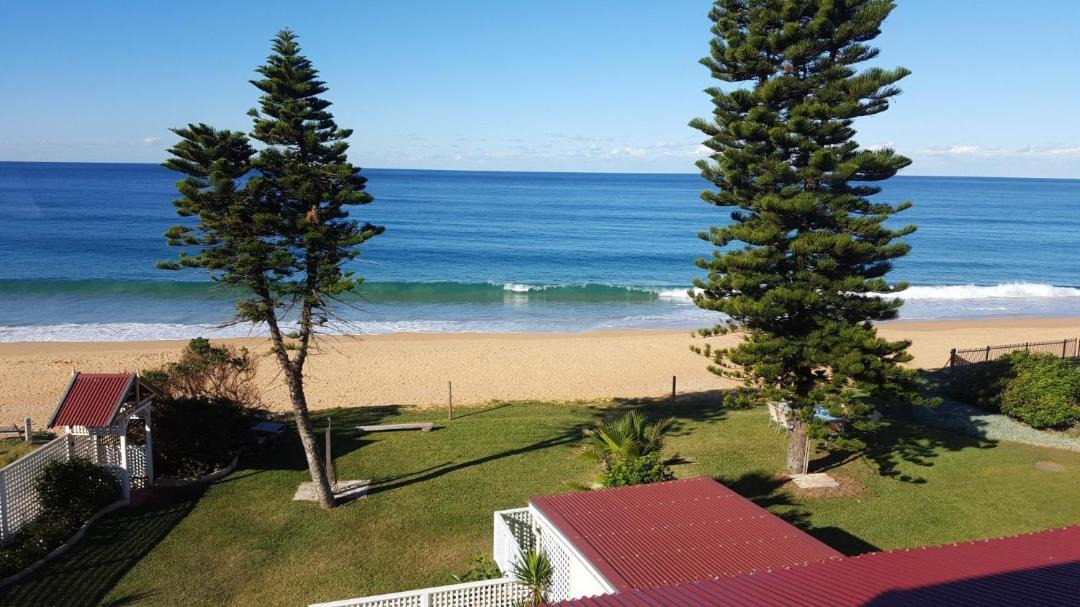 Photo of Others in Narrabeen
