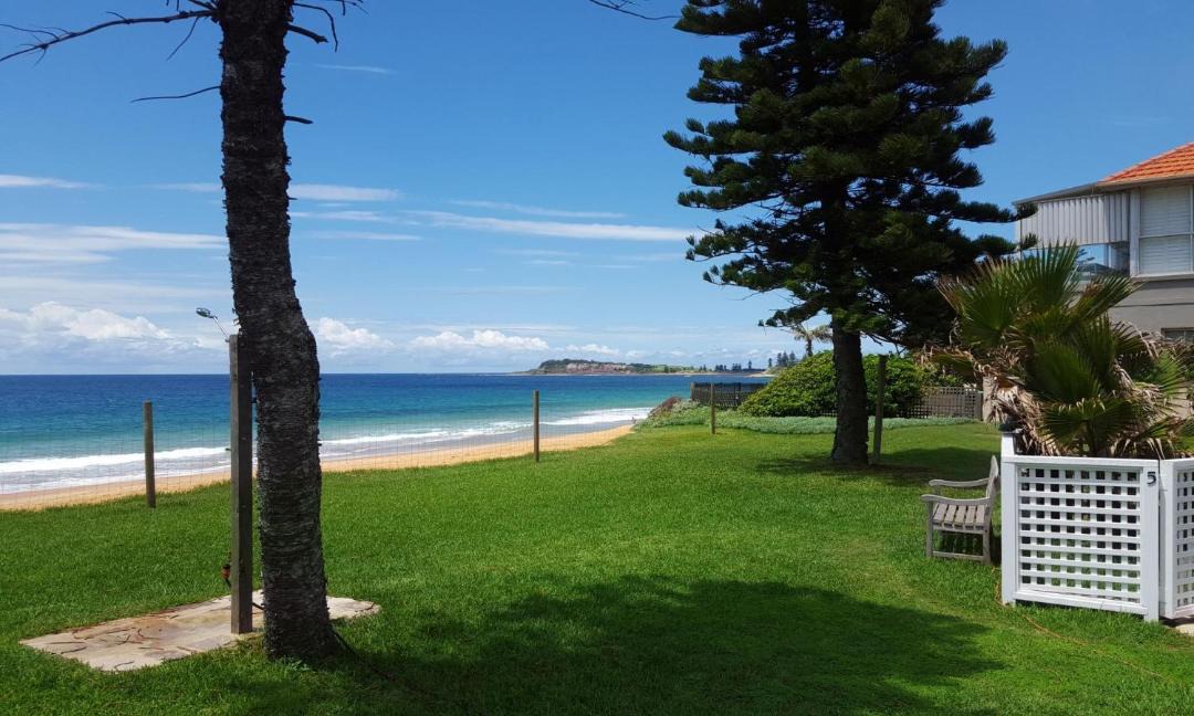 Photo of Others in Narrabeen