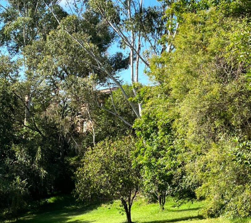Photo of Others in Grose Vale