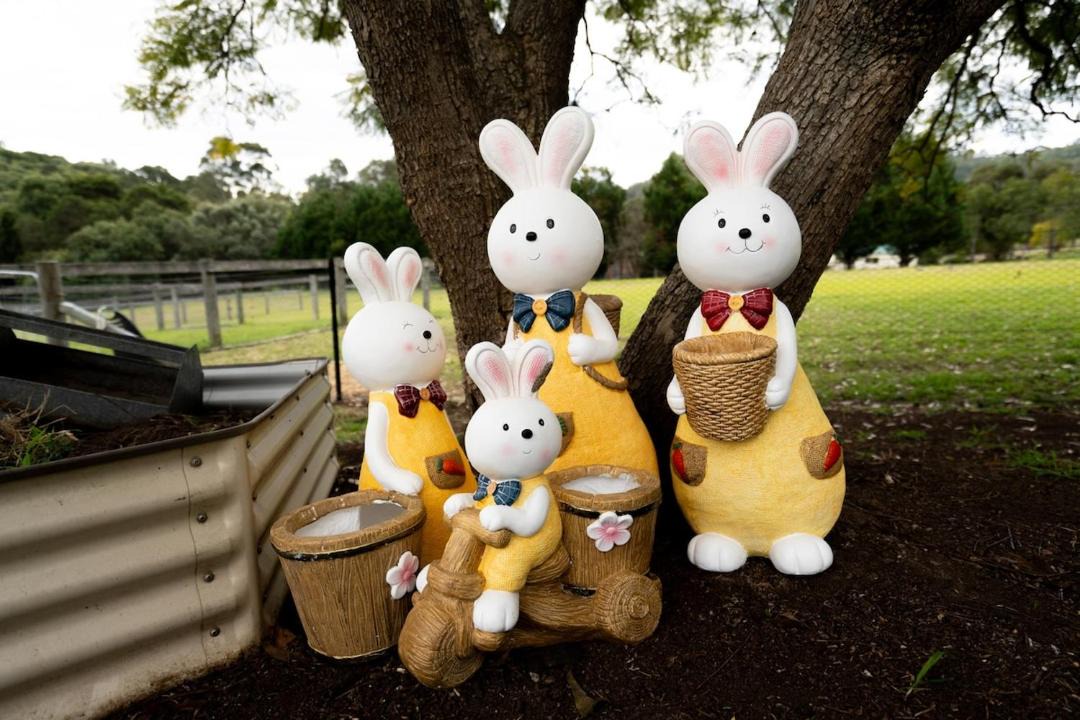 Photo of Others in Mount Hunter
