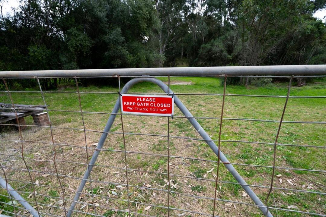 Photo of Others in Mount Hunter