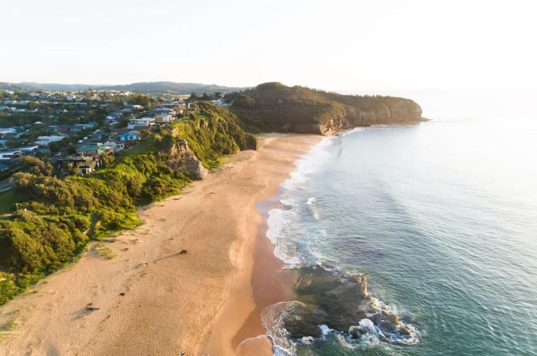 Photo of Others in North Narrabeen