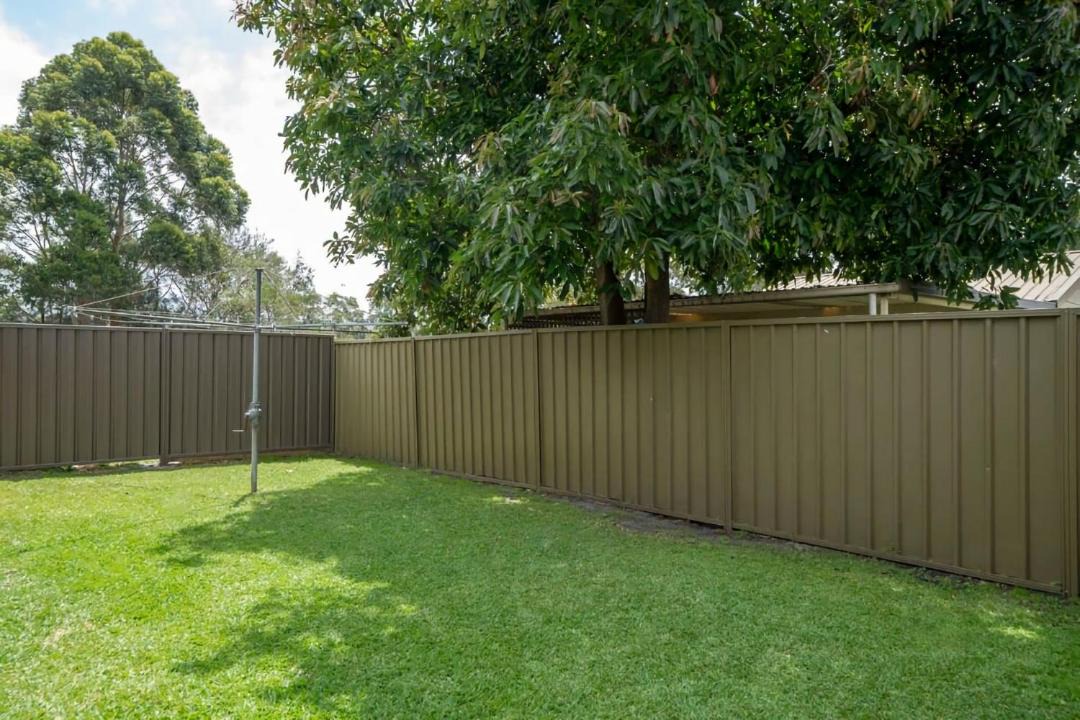 Photo of Others in North Narrabeen