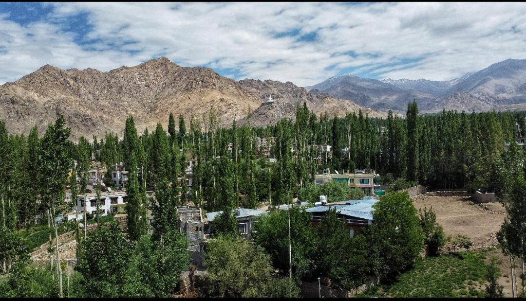 Photo of Others in Leh