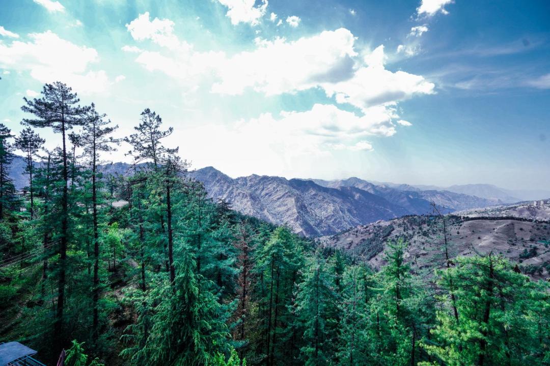 Photo of Others in Shimla