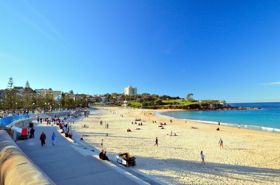 Photo of Others in Coogee