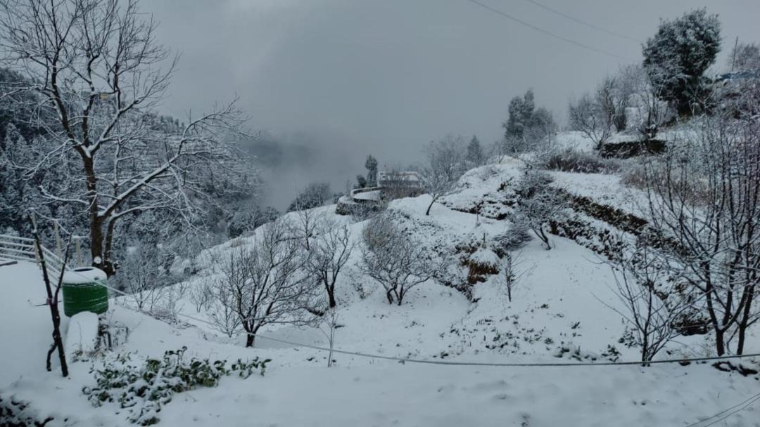 Photo of Others in Tehri Range
