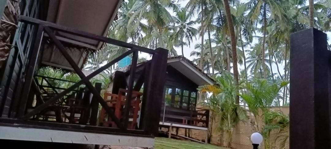 Photo of Others in Agonda