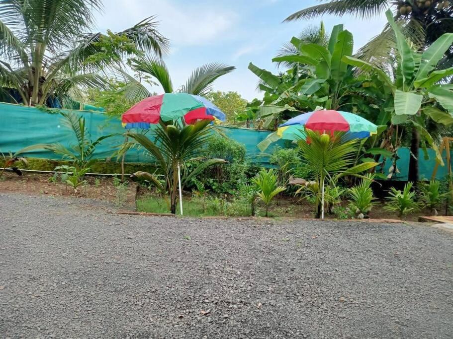 Photo of Others in Alibaug
