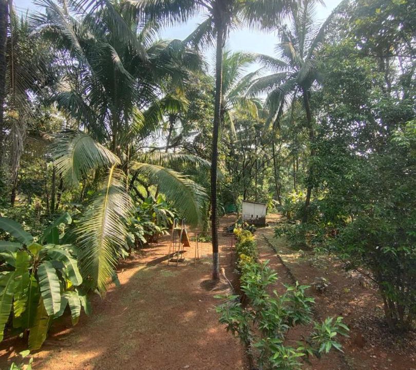 Photo of Others in Anjanvel