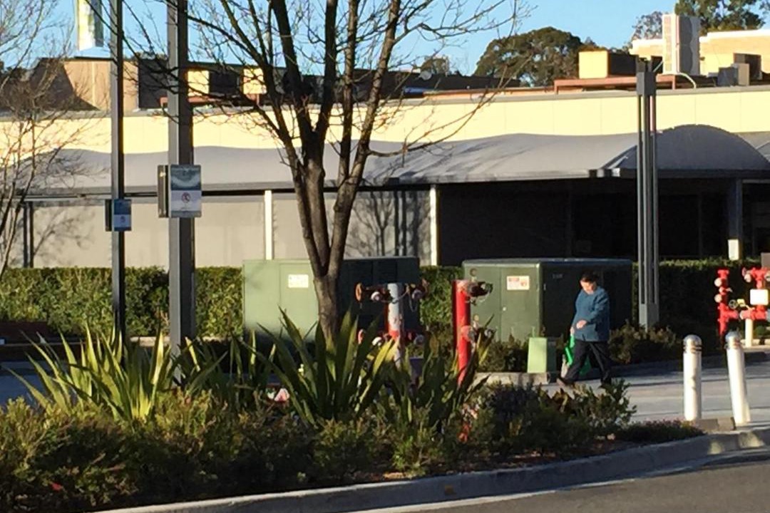 Photo of Others in Engadine