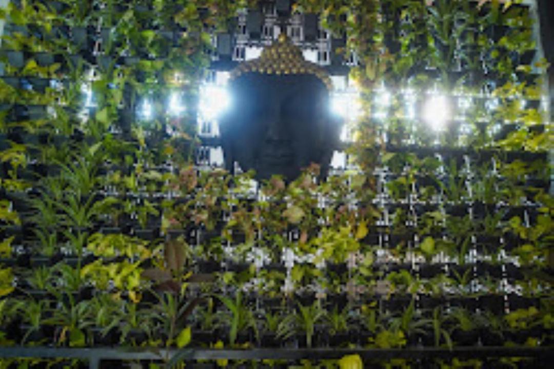 Photo of Others in Bhopal