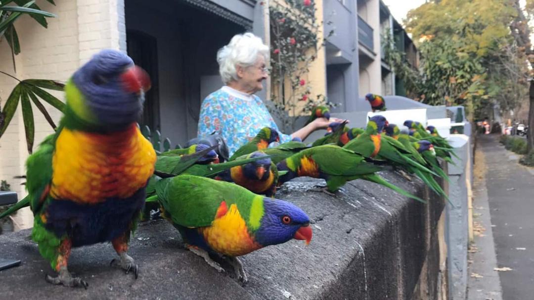 Photo of Others in Pyrmont