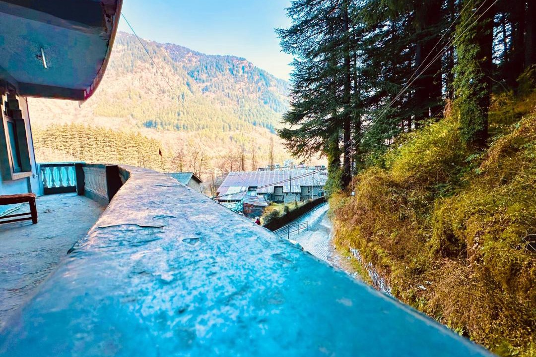 Photo of Others in Old Manali