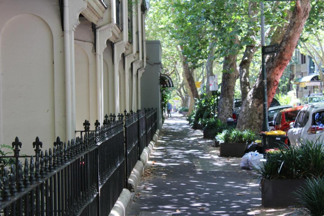 Photo of Others in Potts Point