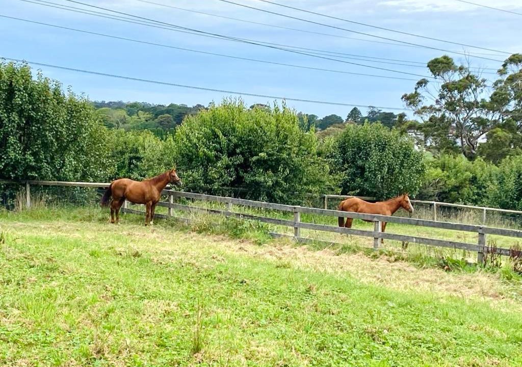 Photo of Others in Bowral