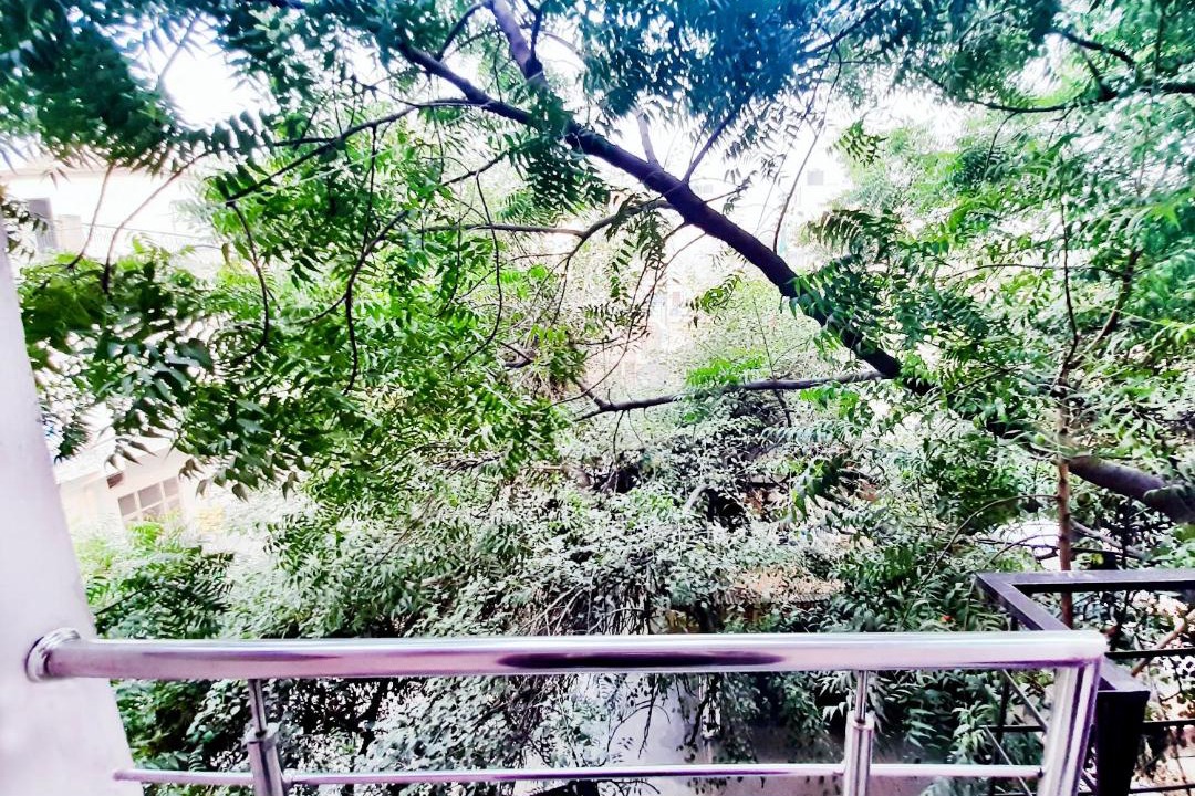 Photo of Others in Rohini