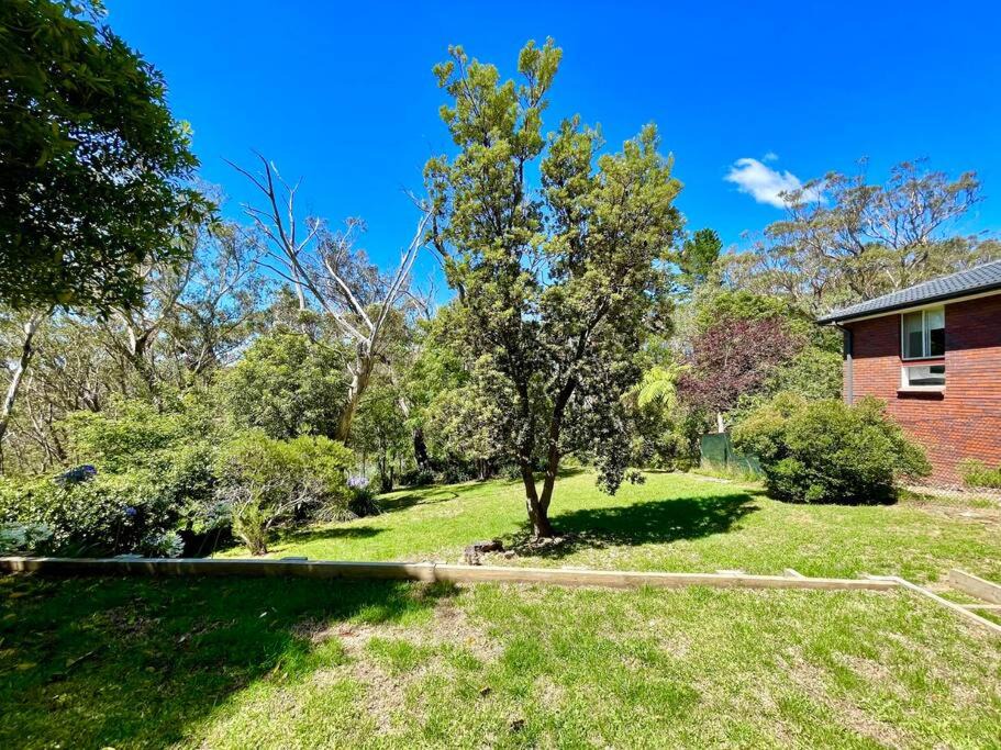 Photo of Others in Wentworth Falls