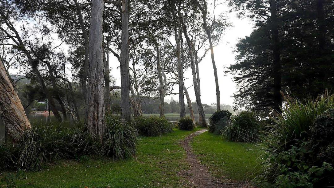 Photo of Others in Macmasters Beach