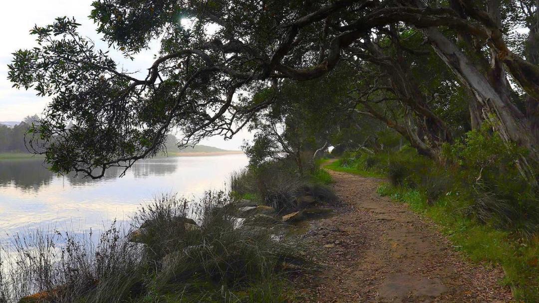 Photo of Others in Macmasters Beach