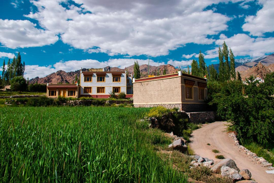 Photo of Others in Leh