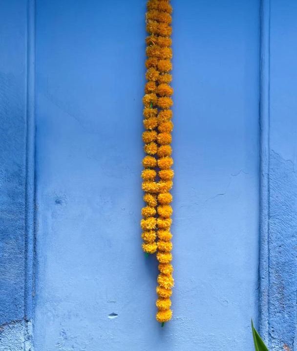 Photo of Others in Jodhpur