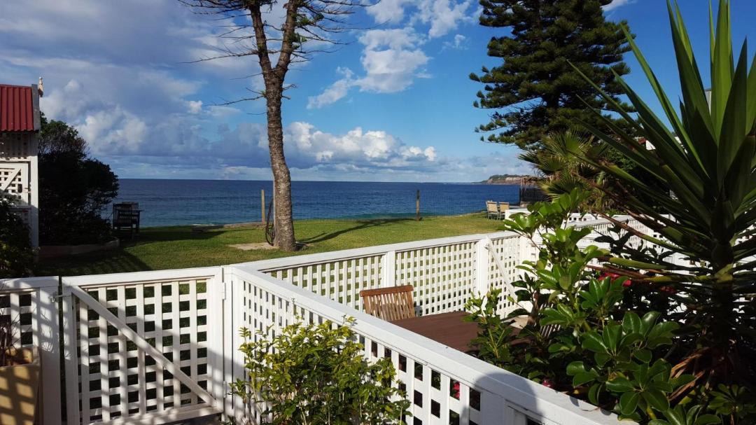 Photo of Others in Narrabeen