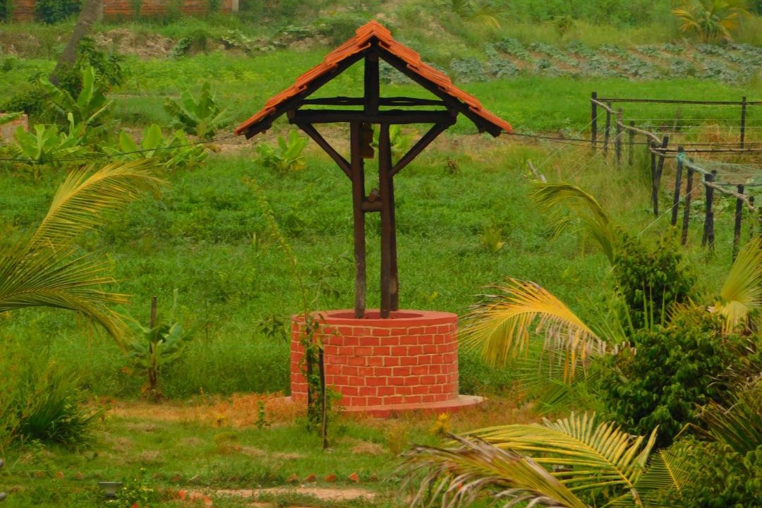 Photo of Others in Noorpur