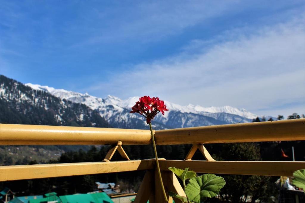Photo of Others in Old Manali