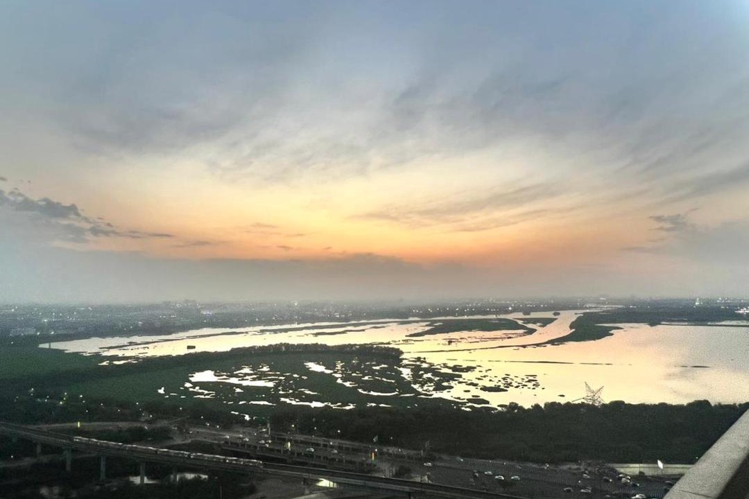 Photo of Others in Noida