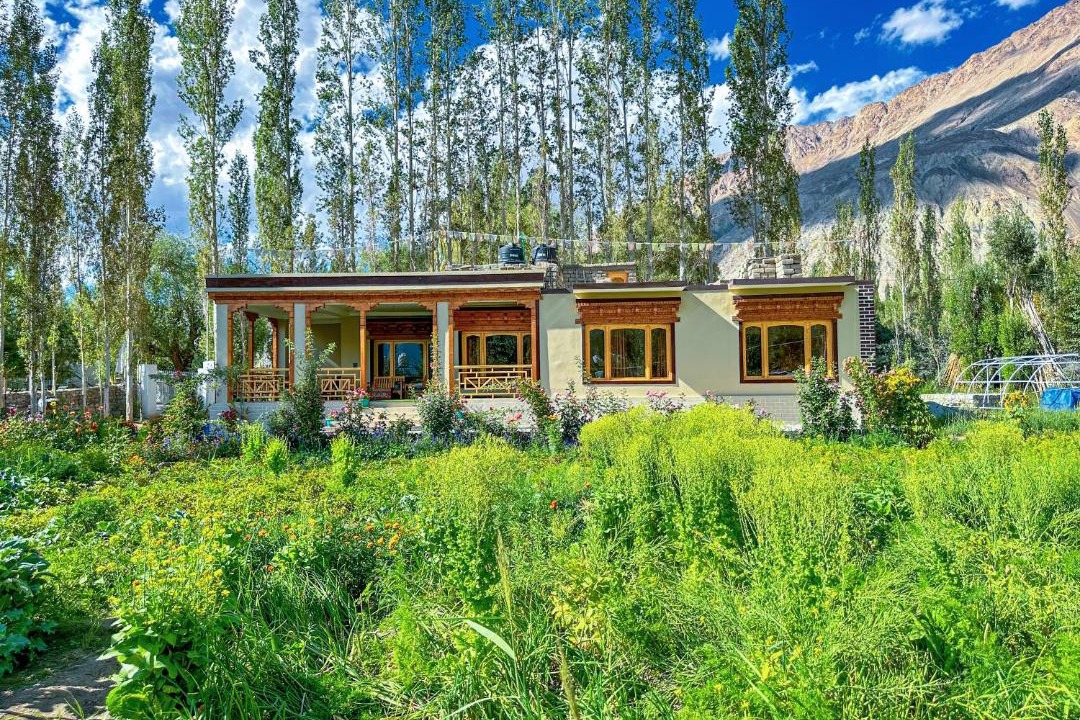 Photo of Others in Nubra Valley