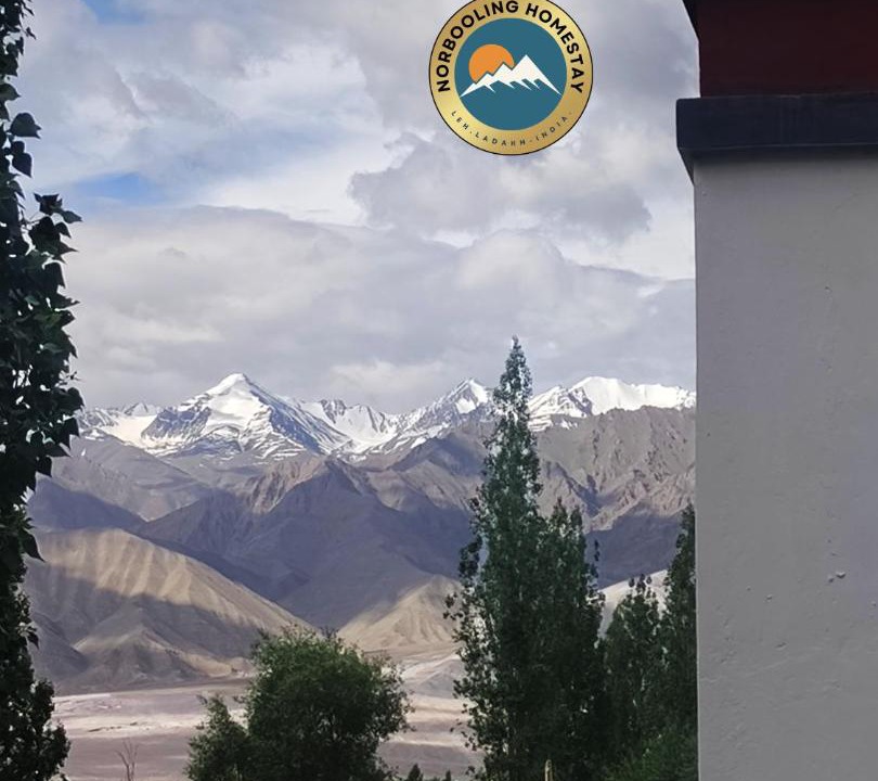 Photo of Others in Leh