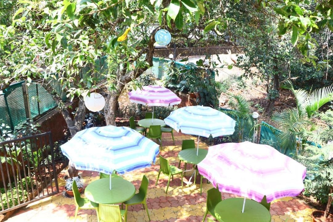 Photo of Others in Mahabaleshwar