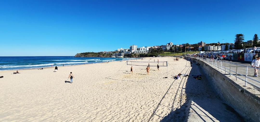 Photo of Others in North Bondi