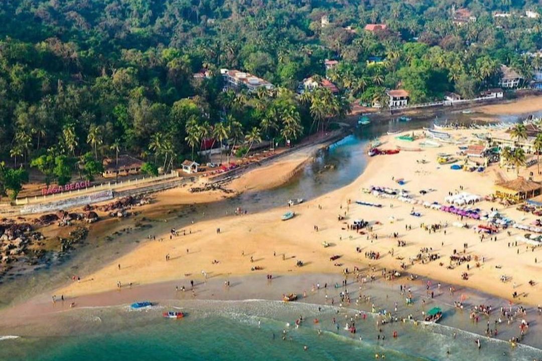 Photo of Others in Baga
