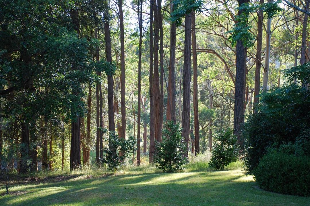 Photo of Others in Mountain Lagoon