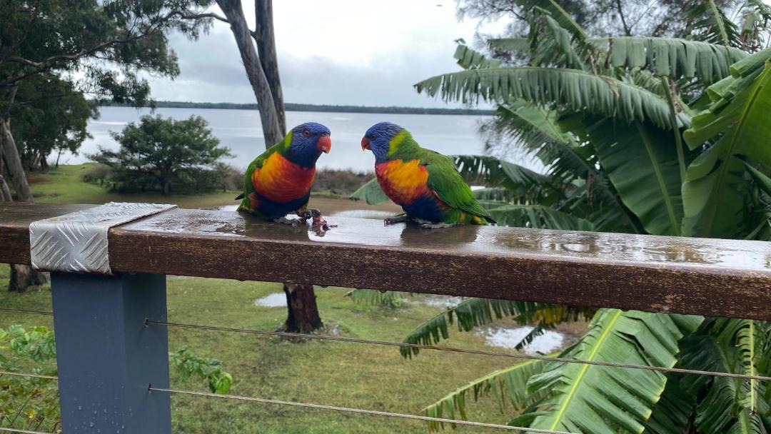Photo of Others in Halekulani