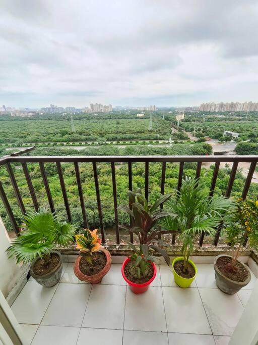 Photo of Patio Balcony in Greater Noida