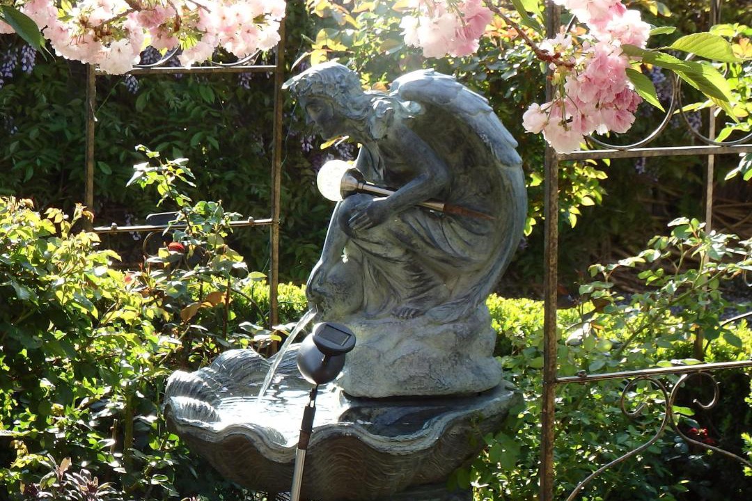 Photo of Others in Mittagong