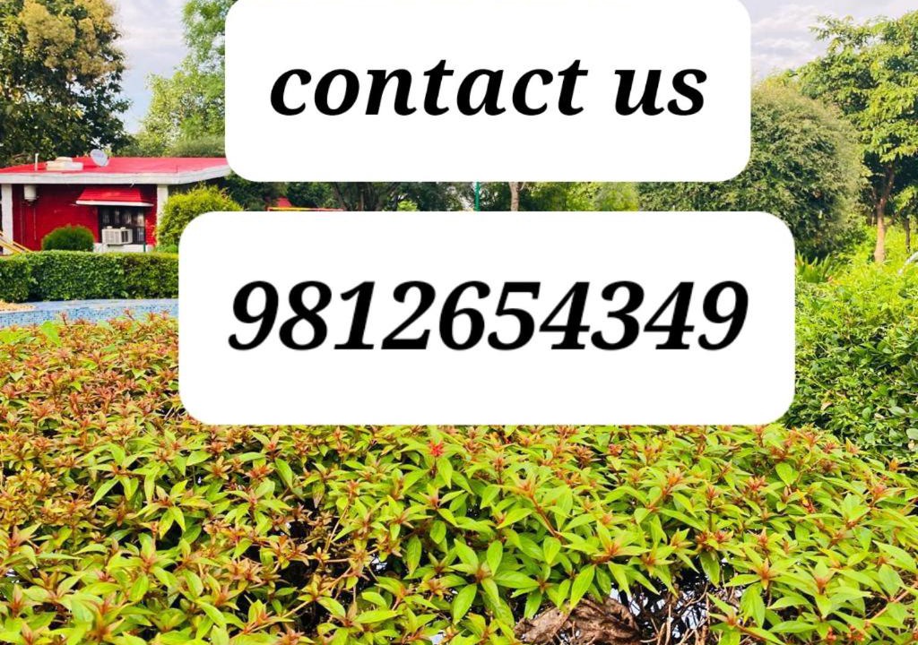 Photo of Buildings in Gurugram